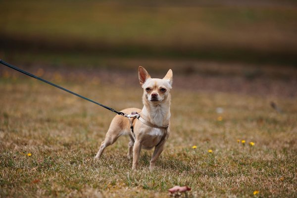Wie kann ein Unternehmen seine Kundenzufriedenheit nachhaltig steigern?