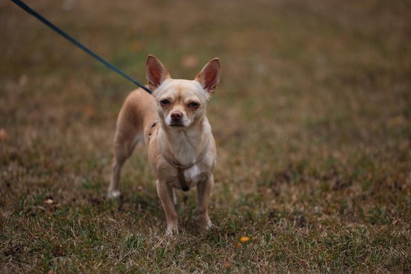 Wie könnten zukünftige Technologien unser tägliches Leben beeinflussen?